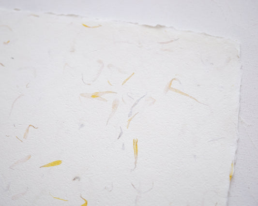 Merített papír körömvirág szirmokkal - 180 g/m2 - A4 - RENDELÉSRE-DIY papír-Erdélyi Esküvői Meghívók-fehér,virág-Erdélyi Esküvői Meghívók