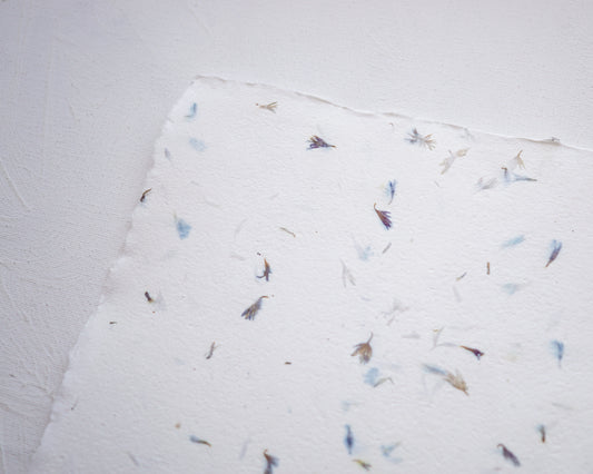 Merített papír Búzavirág szirmokkal - 180 g/m2 - A4 - RENDELÉSRE-DIY papír-Erdélyi Esküvői Meghívók-fehér,virág-Erdélyi Esküvői Meghívók