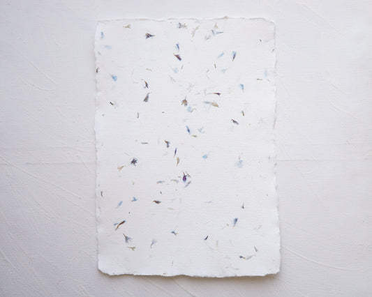 Dip paper with cornflower petals - 180 g/m2 - A4 